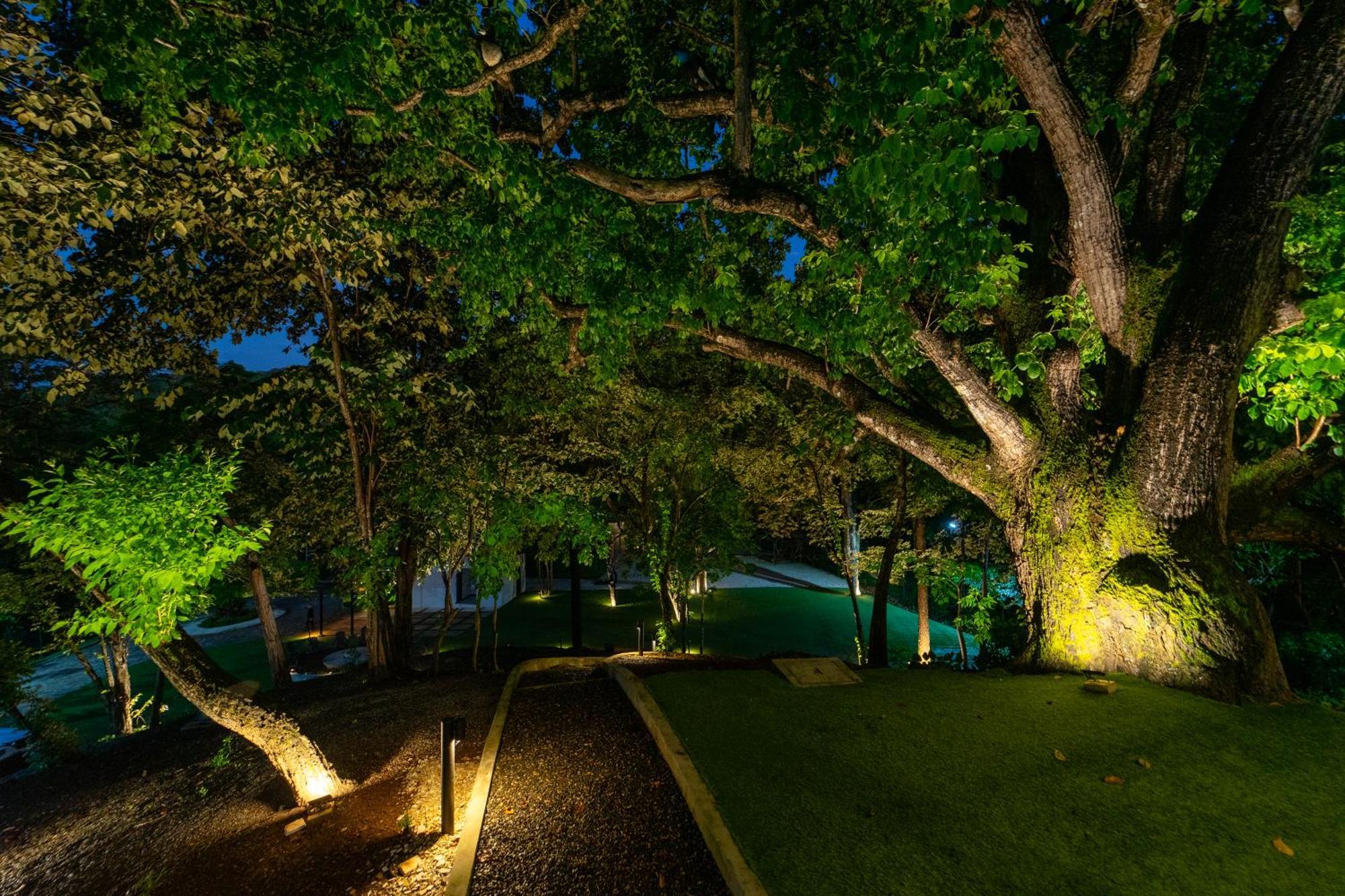 Epic Tamarindo Boutique Hotel Villarreal 외부 사진
